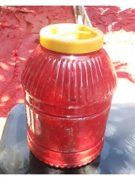 Domates Salçası 5 Kg.
