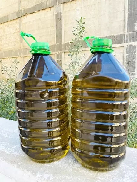Erken Hasat Zeytinyağı 5 Lt.