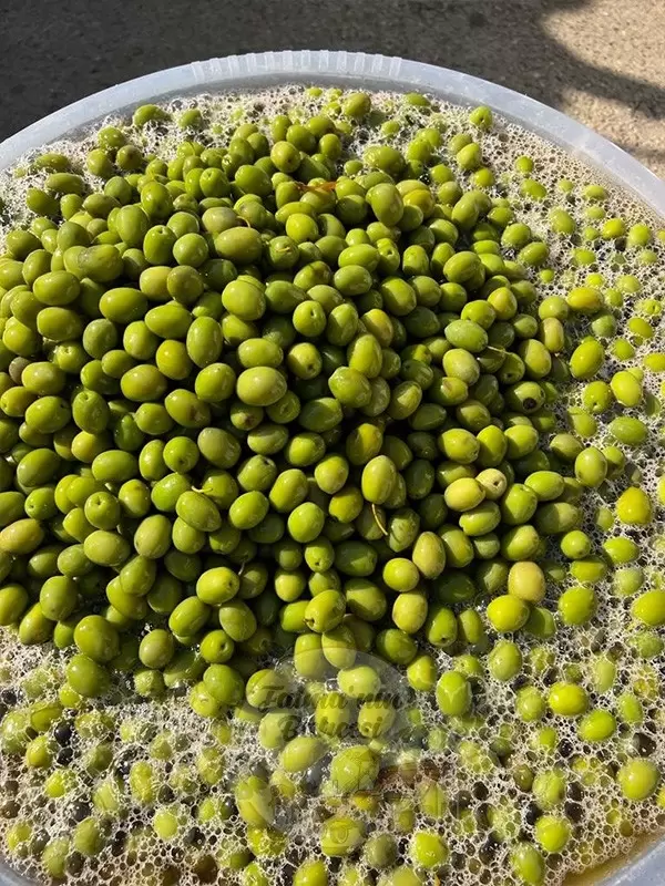 Külleme Zeytin Limonlu Tatlanmış 3'luk Bidon