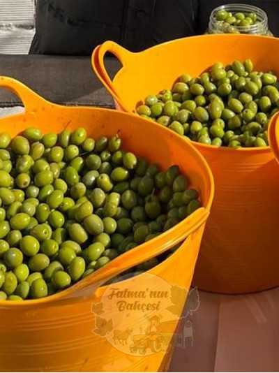 Külleme Zeytin Tatlanmış 3'luk Bidon