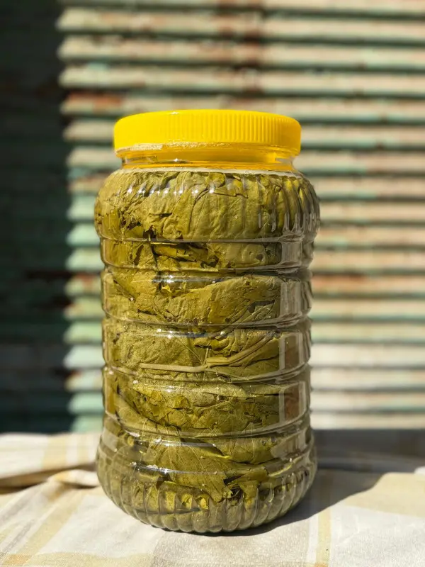 Salamura Asma Yaprak 3'lük Bidon