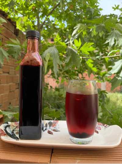 Karadut Şurubu 500 ml