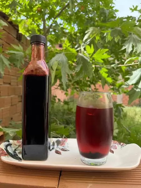 Karadut Şurubu 750 ml