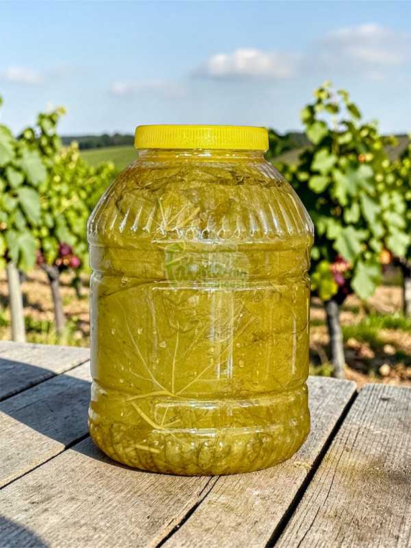 Salamura Asma Yaprak 5'lik Bidon