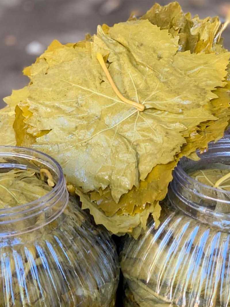 Salamura Asma Yaprak 5'lik Bidon