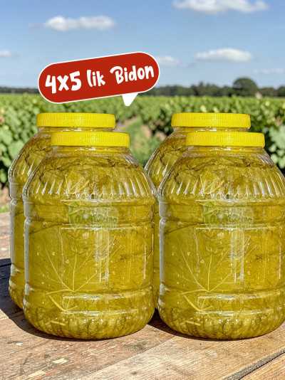 Salamura Asma Yaprak 4x5'lik Bidon