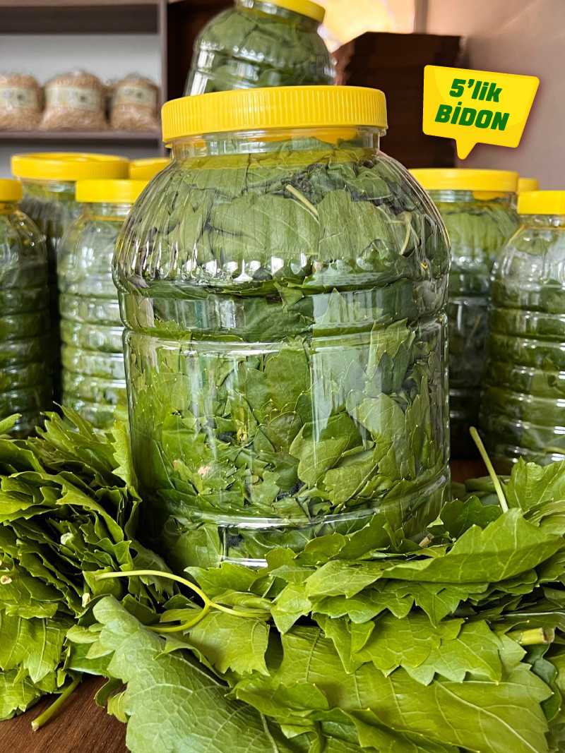 Kuru Basım Asma Yaprak 5'lik Bidon